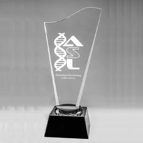 Optic Crystal Award 9.75" (Engraving Included) 1 Optic Crystal Award 9.75" (Engraving Included)