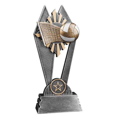 New! Sun Ray Volleyball Award (Includes Engraving)
